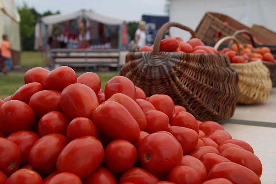 Фестиваль томата "Бешеная ягода" пройдет 12 августа в Черниговском МР
